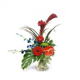 The intensity Bouquet